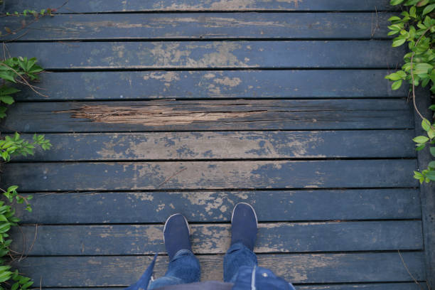 Feet resting on a weathered wooden boardwalk surrounded by lush greenery and nature