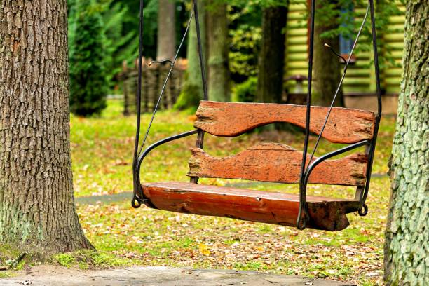 istock A wooden swing hanging from a tree in a park 2194670821