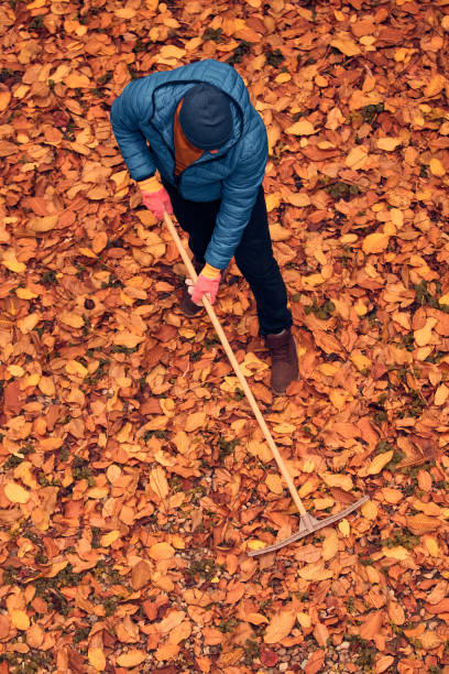 istock Man cleaning garden from fallen autumn leaves. 2194676712