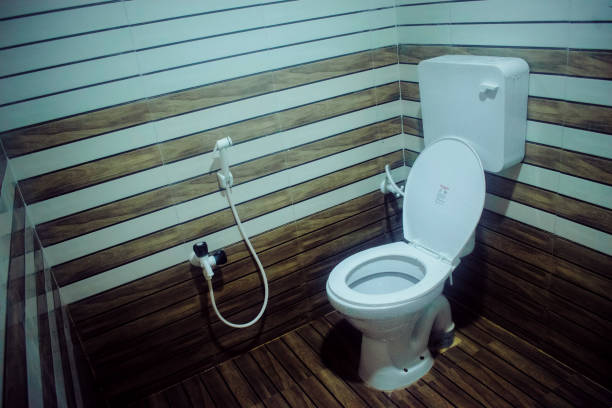 View of western flush toilet bowl.