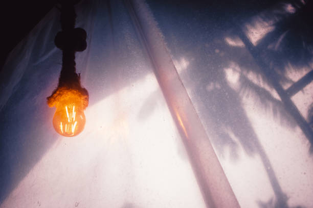 Vintage light bulb on white curtain with shadow from palm tree.