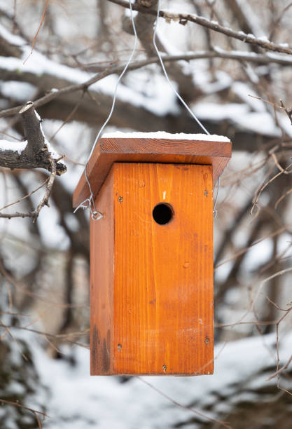 istock Bird feeder bird table hang on tree in winter 2194680931
