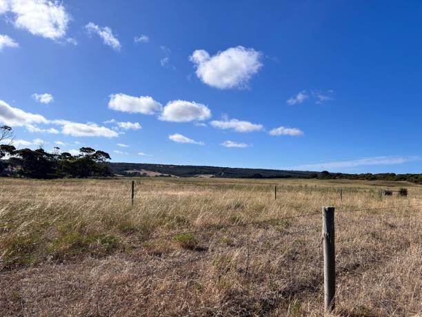 istock Kangaroo Island—Australian third largest—is regularly listed as one of the best islands in the world and is known for its fantastic beaches, authentic food-and-drink experiences, wild and untamed land 2194681222