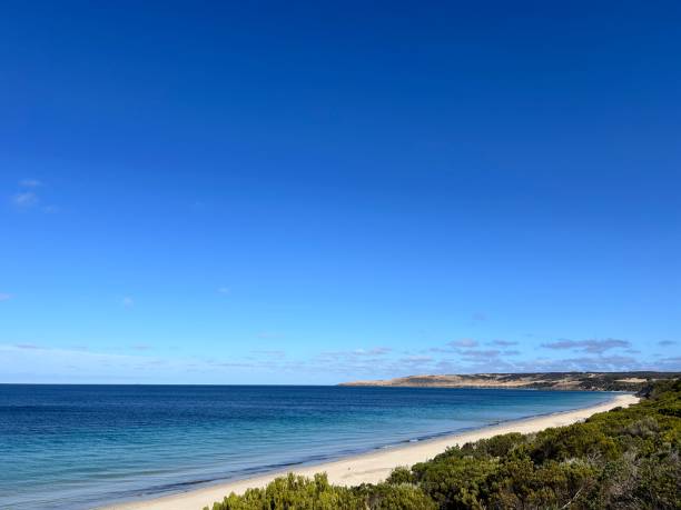 istock Kangaroo Island—Australian third largest—is regularly listed as one of the best islands in the world and is known for its fantastic beaches, authentic food-and-drink experiences, wild and untamed land 2194681503