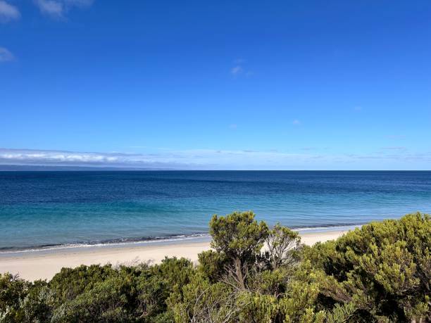 istock Kangaroo Island—Australian third largest—is regularly listed as one of the best islands in the world and is known for its fantastic beaches, authentic food-and-drink experiences, wild and untamed land 2194681796