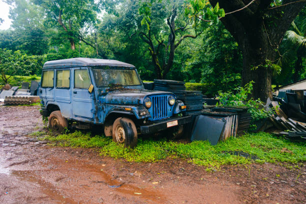 Nature taking over an old vintage military style off road vehicle that has been abandoned in a forest.