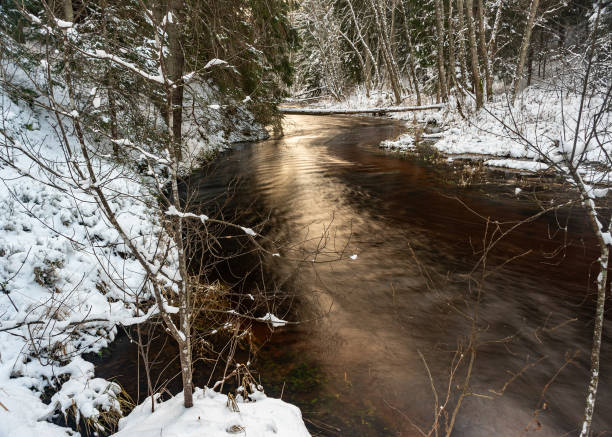 istock winter landscape with a small, wild wild river, long exposure, blurred water, snow-covered trees on the riverbank 2194687379