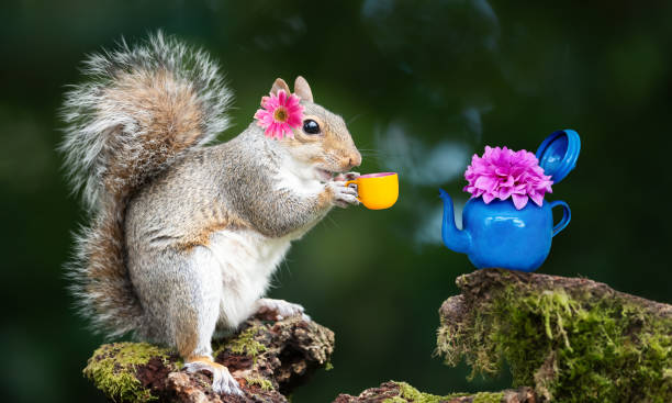 Cute squirrel with a flower on its ear enjoying a magical tea moment