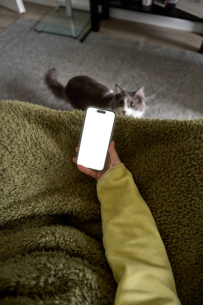 istock Woman relaxing on sofa with smartphone and curious cat 2194690679