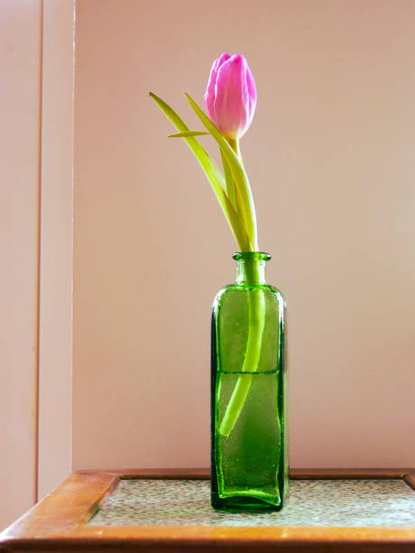 One single pink tulip in a green glass vase. Beautiful and elegant decor and interior design. Springtime. Inspiration. Flower bouqet.