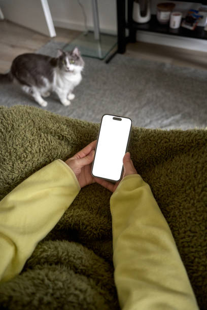 istock Woman relaxing on sofa using smartphone with blank screen and cat in background 2194694176