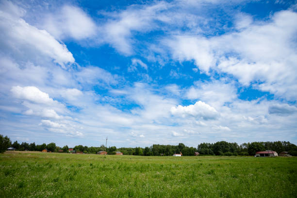 A breathtakingly picturesque landscape featuring a lush green field and vibrant blue skies dotted with soft clouds