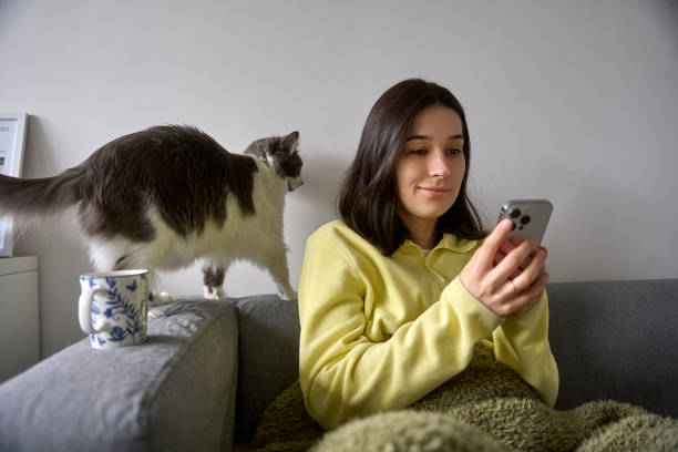 istock Young woman using smartphone at home with cat walking on sofa 2194698298