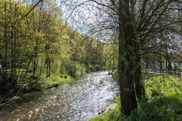 istock Spring landscape in the park with a small river. 2194698534