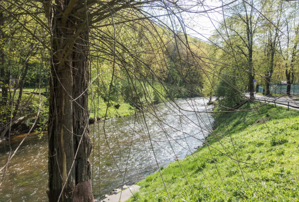 istock Spring landscape in the park with a small river. 2194698552