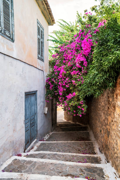 istock Stone Pathway with Bougainvillea in Koroni 2194701842