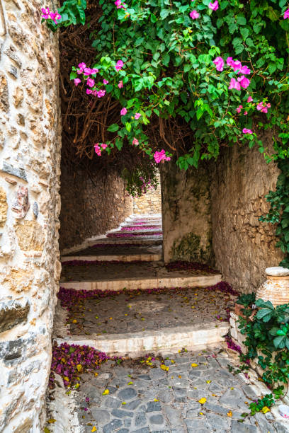 istock Stone Pathway with Bougainvillea in Koroni 2194701853
