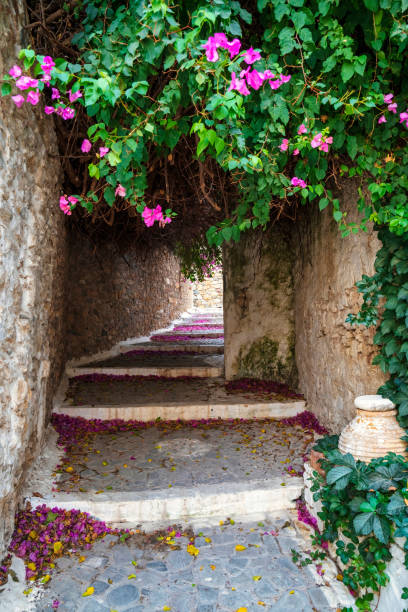 istock Stone Pathway with Bougainvillea in Koroni 2194701862