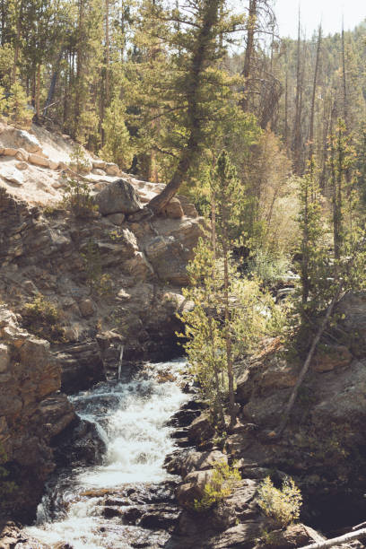 Adams Falls Waterfall Trail and Gorge Colorado