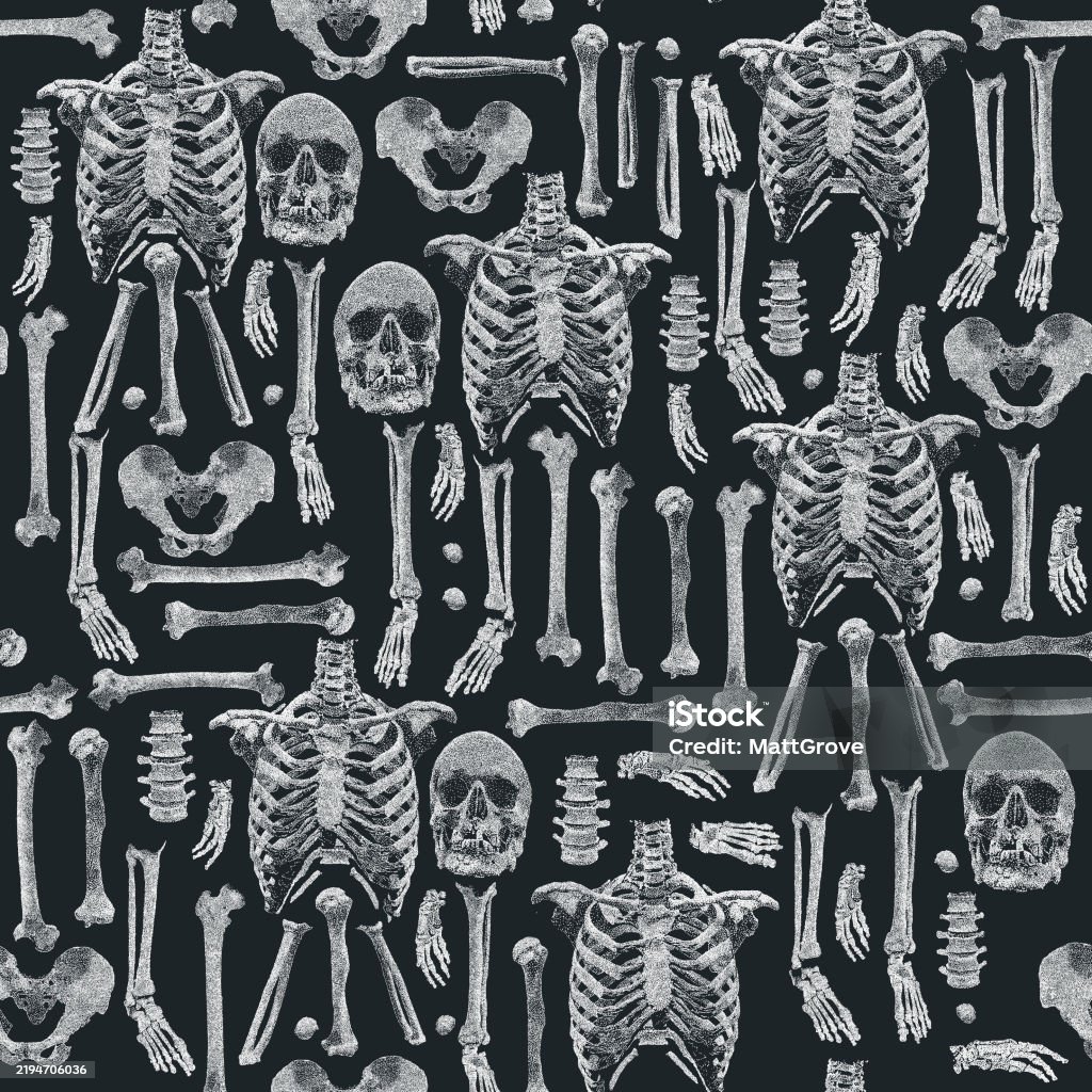 Human Skeleton Bones Repeat Pattern Stock Illustration - Download Image ...