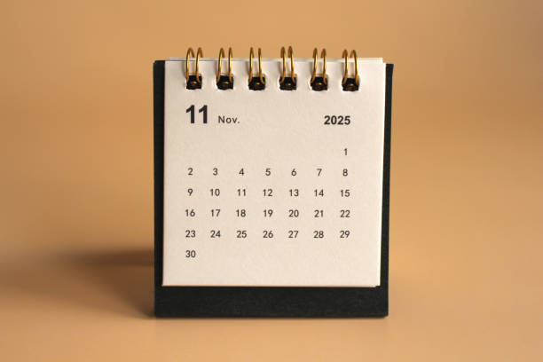 istock calendar new year 2025 2194707022