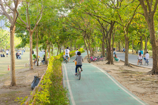 View along cycling lane in Wachirabenchathat Park (Rot Fai Park) in Bangkok. Some women and men afre cycling on wavy lane between a pets and dog play area at left side close to a lake and a lane for pedestrians at right side. Some bicycles afre parked between trees. A wom,an is sitting on a bench. Some people are sitting behind small hedge on pets ground. In left far background people are relaxing on grass near trees. People are wearing casual clothes