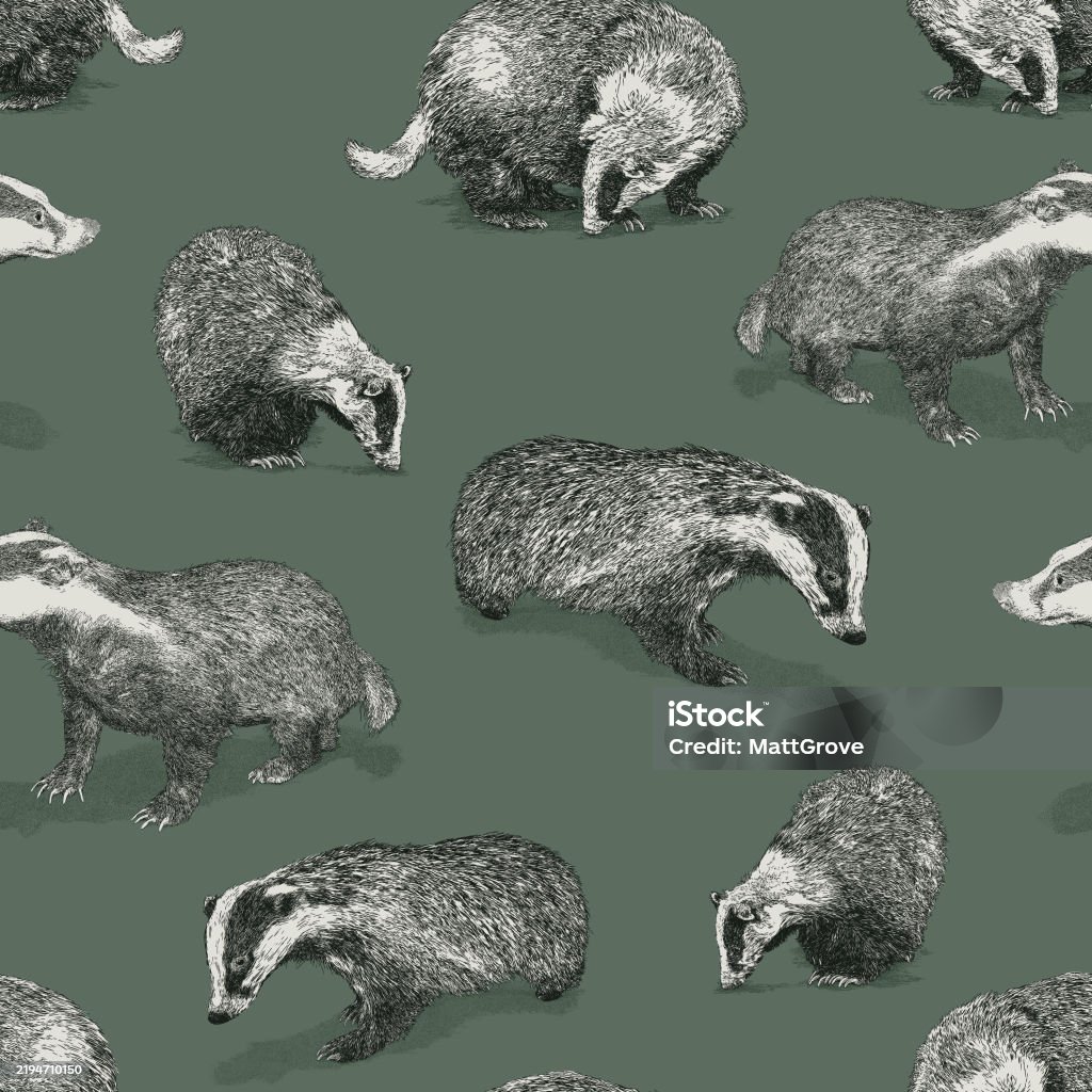 Badger Pattern Background Badgers Seamless Repeat Pattern Stock Illustration - Download Image Now ...