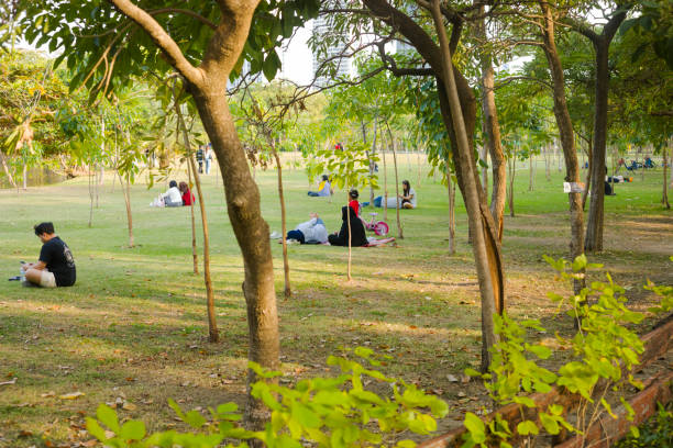 Relaxing thai people in open space area of Wachirabenchathat Park (Rot Fai Park) in Bangkok Chatuchak. In center are muslim women lying down. A child is closeby. In left area a single person is sitting and using mobile phone. In other areas and background people and couple are lying on ground or walking aroud among young thin trees.