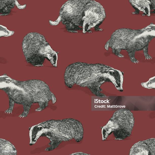Badger Pattern Background Badgers Seamless Repeat Red Background Stock Illustration - Download ...