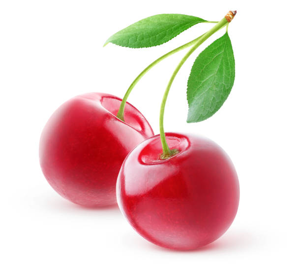 istock Two sweet cherries on a stem with leaves isolated on white 2194712147