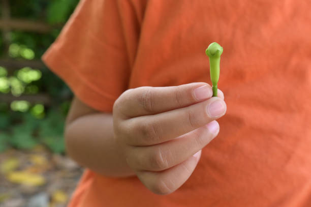 Cloves close-up in hand