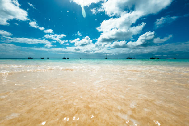 Palm Trees, Blue Sky's, Beach