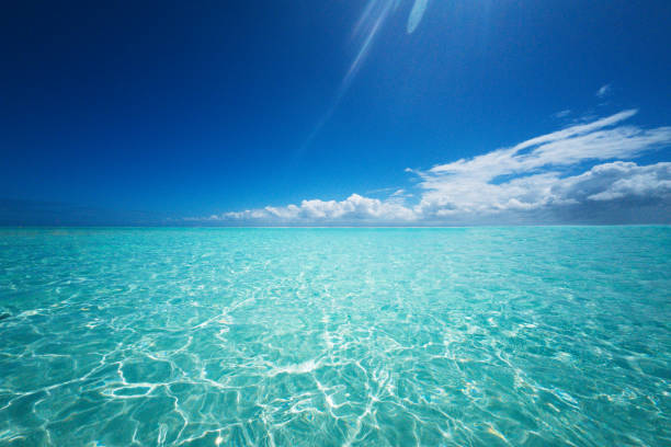 View of Zanzibar’s Iconic Turquoise Waters, Showcasing the Vibrant, Crystal-clear Ocean Stretching Along the Idyllic Coastline.