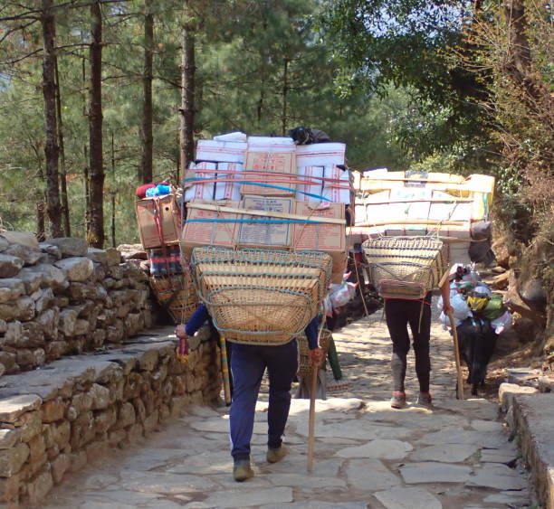 istock Nepalese carriers  into the forest 2194715455