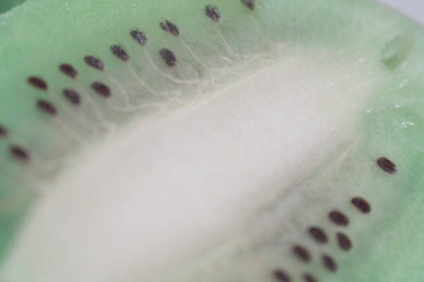A detailed macro shot of a sliced kiwi fruit, highlighting its vibrant green flesh, black seeds, and juicy texture. Perfect for food-related designs.