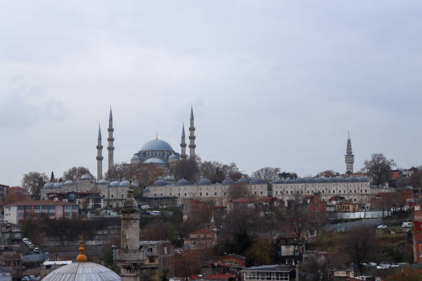 istock Suleymaniye Mosque in Istanbul 2194717356