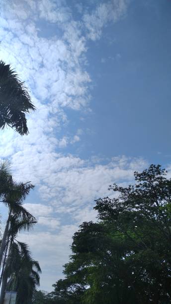 istock views of the sky, beautiful clouds plus shady trees 2194718442