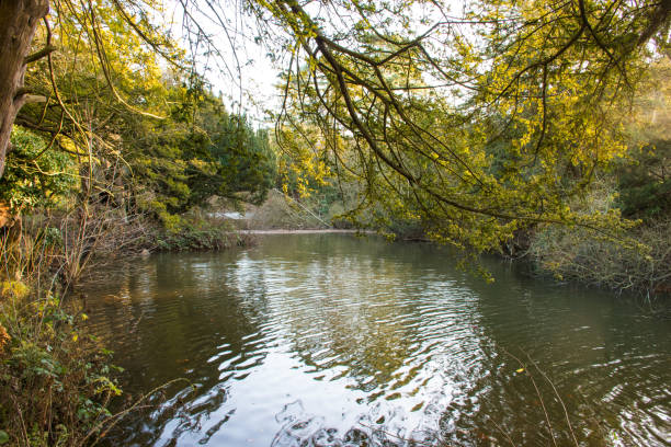 istock Trees in autumn color next to a lake. 2194718700
