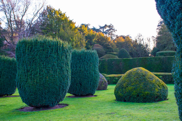 istock Exploring an English country garden with shaped topiary. 2194718740