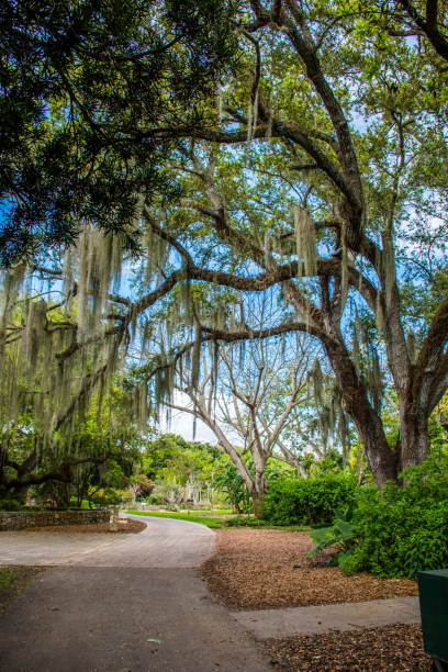 istock Exploring a beautiful tropic botanic garden. 2194718812