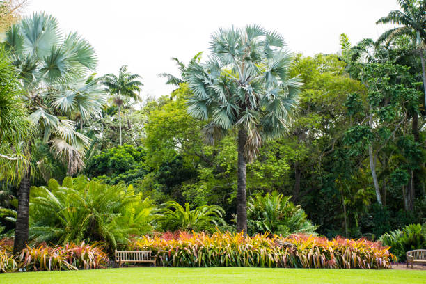istock Exploring a beautiful tropic botanic garden. 2194718975