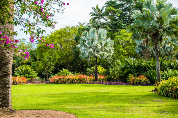 istock Exploring a beautiful tropic botanic garden. 2194718978
