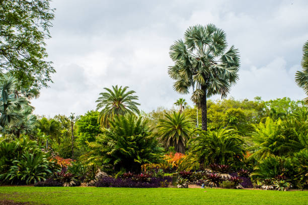 istock Exploring a beautiful tropic botanic garden. 2194718999