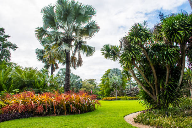 istock Exploring a beautiful tropic botanic garden with palm trees. 2194719009