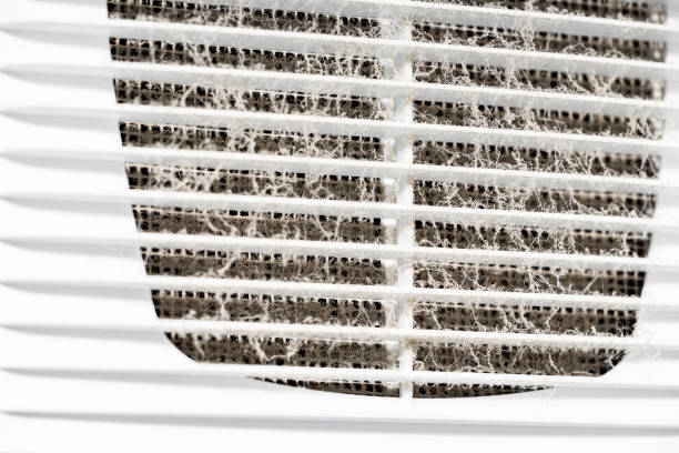 istock ventilation grille with traces of dust, close-up 2194721367