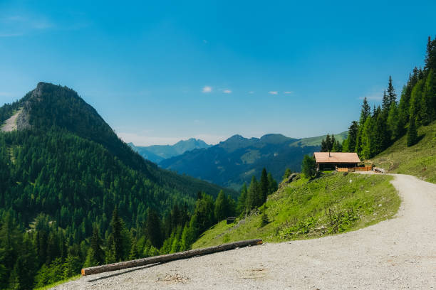 A serene mountain cabin sits on a hillside with a gravel path leading to it, surrounded by lush green forests and distant mountain peaks under a bright blue sky.