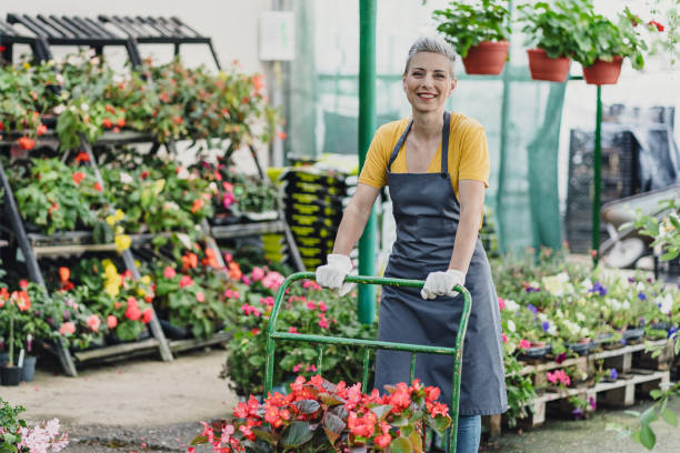 Gardener center worker pushing a cart loaded with flowers in in flower greenhouse horizontal shot