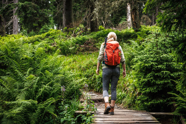 Woman hiker with red backpack is walking on footbridge in forest