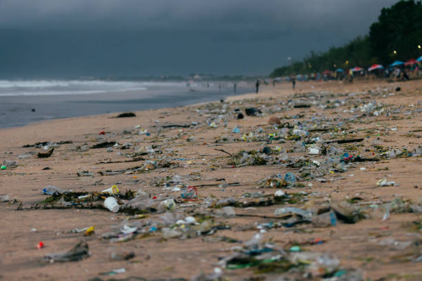 istock Trash piling up on the ocean.Kuta beach - Bali Island. 2194727421
