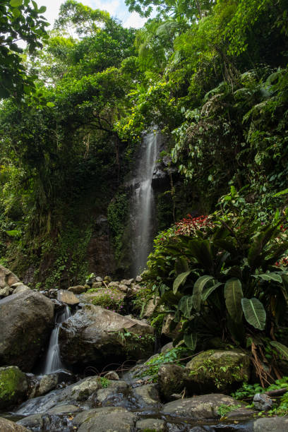 istock Towering Waterfall in a Verdant Tropical Forest 2194727929